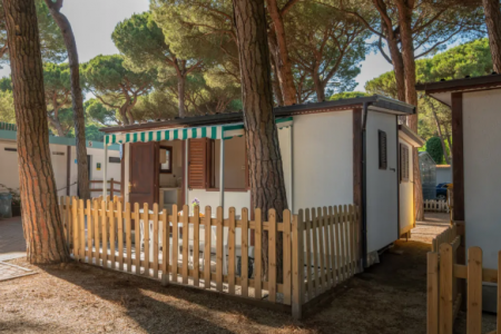 Schermata 2025-02-24 alle 19.36.00